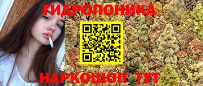прущие крисы Кунгур