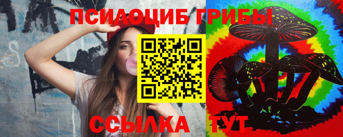 Сердобск  Галлюциногенные грибы Psilocybe  Псилоцибиновые грибы ЛСД  Вход с VPN 