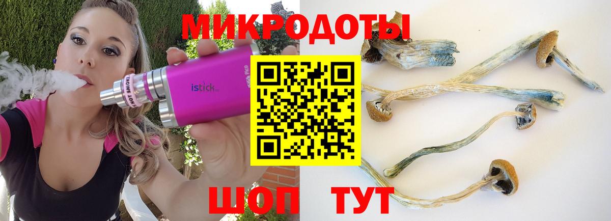 Псилоцибиновые грибы прущие грибы Сердобск
